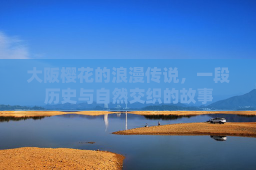 大阪樱花的浪漫传说，一段历史与自然交织的故事