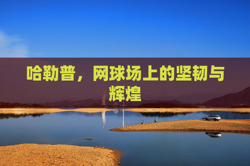 哈勒普,网球场上的坚韧与辉煌 哈勒普,网球场上的坚韧与辉煌