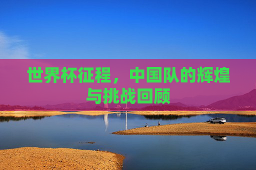 世界杯征程，中国队的辉煌与挑战回顾