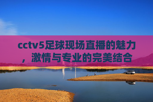 cctv5足球现场直播的魅力，激情与专业的完美结合