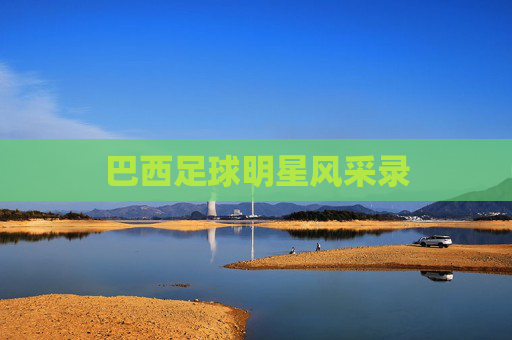 巴西足球明星风采录