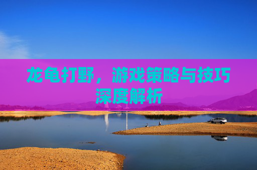 龙龟打野，游戏策略与技巧深度解析