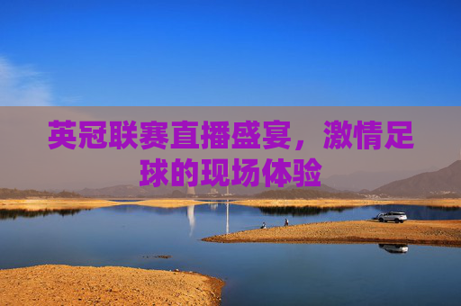 英冠联赛直播盛宴，激情足球的现场体验