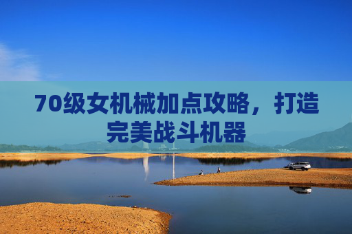 70级女机械加点攻略，打造完美战斗机器