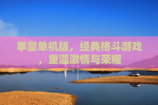 拳皇单机版，经典格斗游戏，重温激情与荣耀