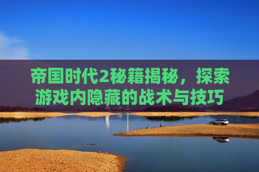 帝国时代2秘籍揭秘，探索游戏内隐藏的战术与技巧