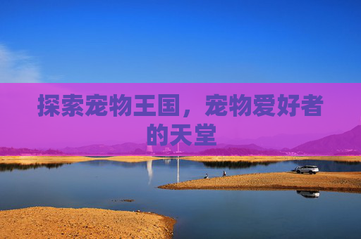 探索宠物王国，宠物爱好者的天堂