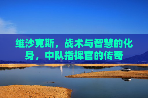 维沙克斯，战术与智慧的化身，中队指挥官的传奇