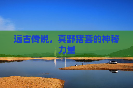 远古传说，真野猪套的神秘力量