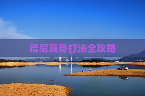 谱尼真身打法全攻略