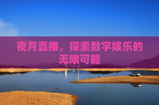 夜月直播，探索数字娱乐的无限可能