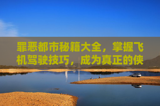 罪恶都市秘籍大全，掌握飞机驾驶技巧，成为真正的侠盗猎车手