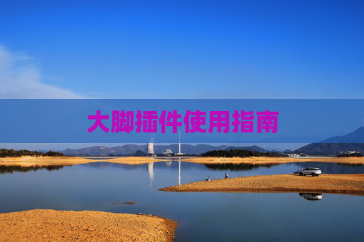 大脚插件使用指南