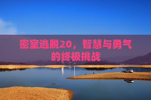 密室逃脱20，智慧与勇气的终极挑战