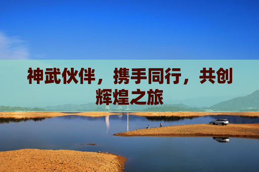 神武伙伴，携手同行，共创辉煌之旅
