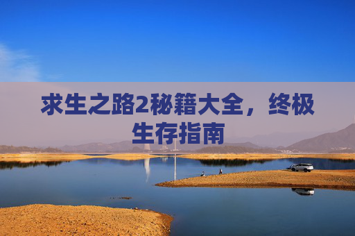 求生之路2秘籍大全，终极生存指南