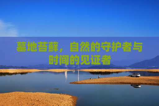 墓地苔藓，自然的守护者与时间的见证者