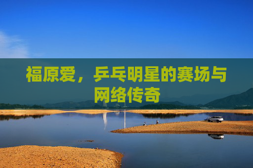 福原爱，乒乓明星的赛场与网络传奇