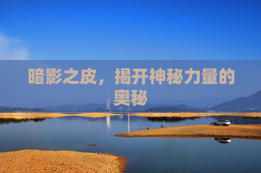 暗影之皮，揭开神秘力量的奥秘