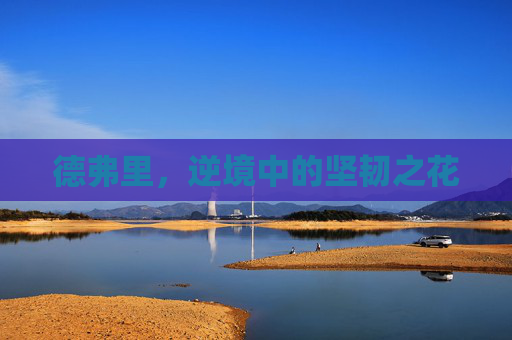 德弗里，逆境中的坚韧之花
