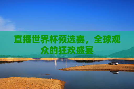 直播世界杯预选赛，全球观众的狂欢盛宴
