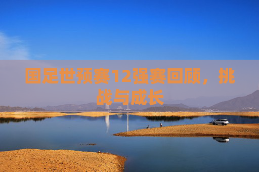 国足世预赛12强赛回顾，挑战与成长