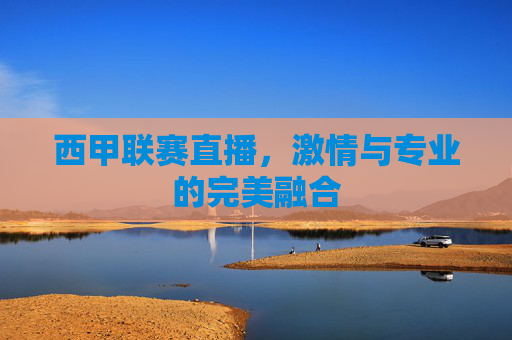 西甲联赛直播，激情与专业的完美融合