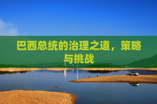 巴西总统的治理之道，策略与挑战