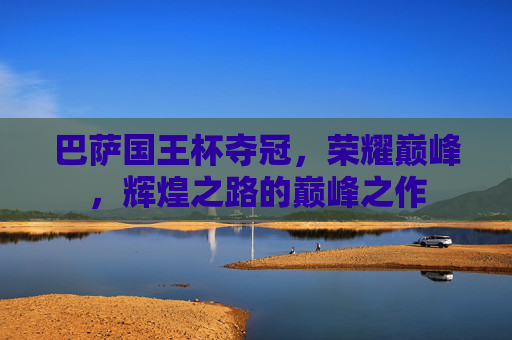 巴萨国王杯夺冠，荣耀巅峰，辉煌之路的巅峰之作