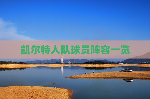 凯尔特人队球员阵容一览