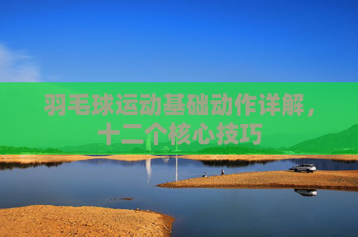 羽毛球运动基础动作详解，十二个核心技巧