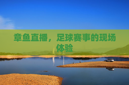 章鱼直播，足球赛事的现场体验