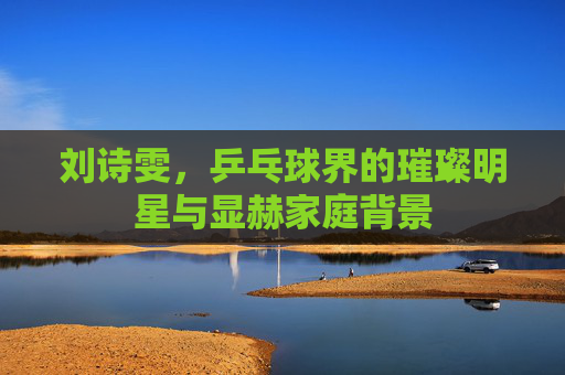刘诗雯，乒乓球界的璀璨明星与显赫家庭背景