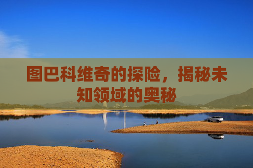 图巴科维奇的探险，揭秘未知领域的奥秘