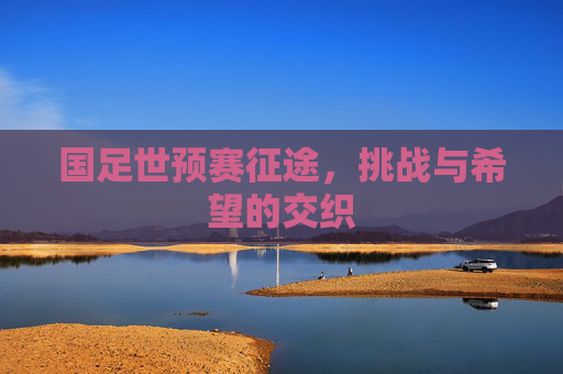 国足世预赛征途，挑战与希望的交织