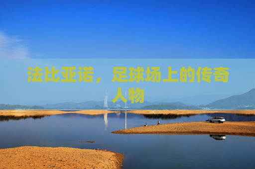 法比亚诺，足球场上的传奇人物