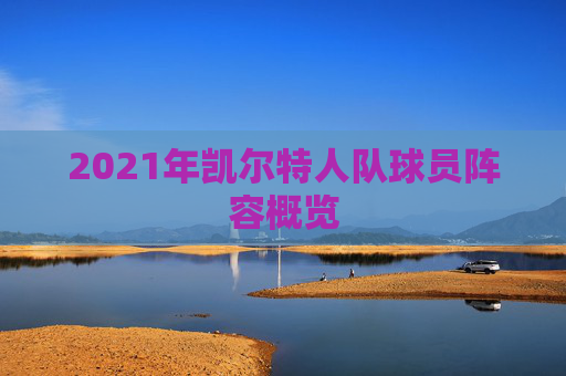2021年凯尔特人队球员阵容概览