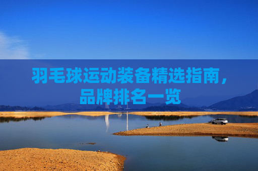 羽毛球运动装备精选指南，品牌排名一览