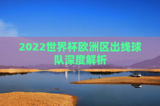 2022世界杯欧洲区出线球队深度解析