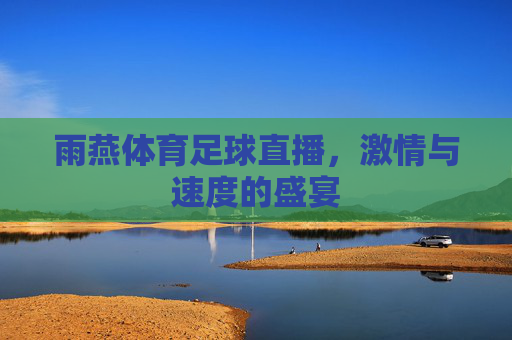 雨燕体育足球直播，激情与速度的盛宴