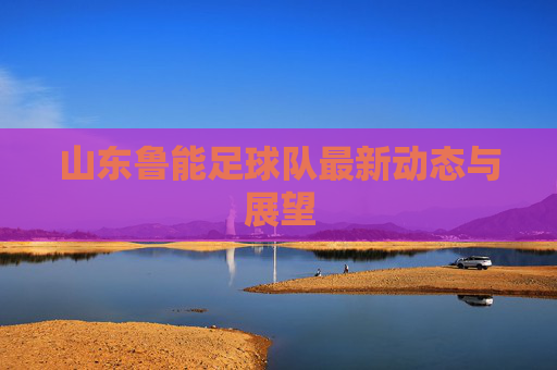 山东鲁能足球队最新动态与展望