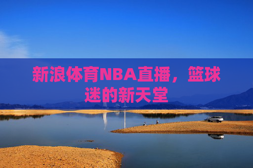 新浪体育NBA直播，篮球迷的新天堂