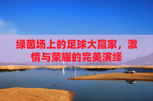绿茵场上的足球大赢家，激情与荣耀的完美演绎