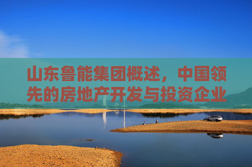 山东鲁能集团概述，中国领先的房地产开发与投资企业