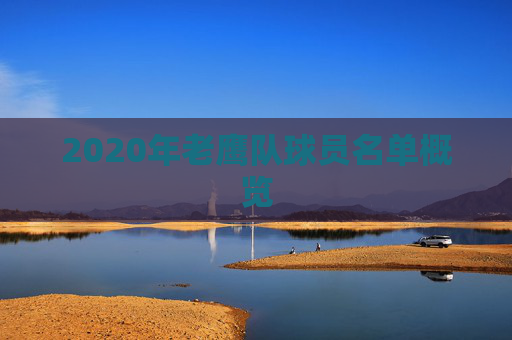 2020年老鹰队球员名单概览