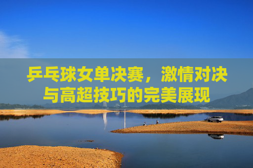 乒乓球女单决赛，激情对决与高超技巧的完美展现