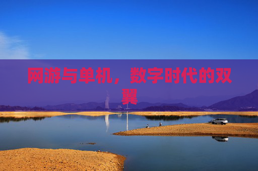 网游与单机，数字时代的双翼