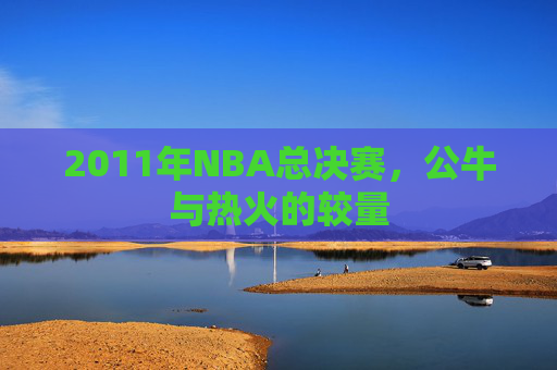 2011年NBA总决赛，公牛与热火的较量