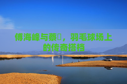 傅海峰与蔡赟，羽毛球场上的传奇搭档