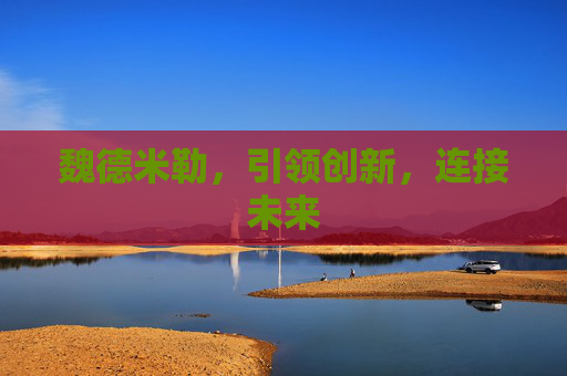 魏德米勒，引领创新，连接未来